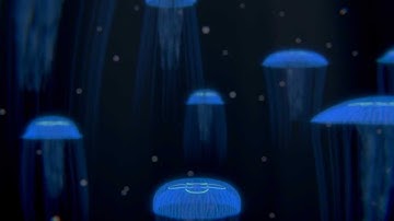 Jellyfish animation "Medusae luminosi"