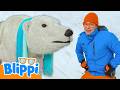 ゆきだるまをさがそう！スノーシティでゆきあそび ☃️❄️ | シンガポールアドベンチャー | ブリッピー 日本語 - 幼児向け教育動画 Blippi