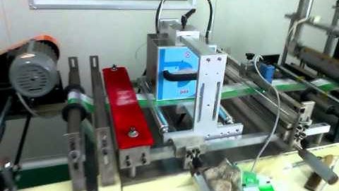 Dikai Thermal Transfer Overprinter D03 D-series TTO on intermittent packaging machine