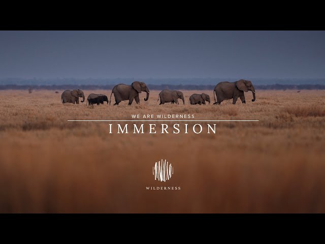 We Are Wilderness - Immersion