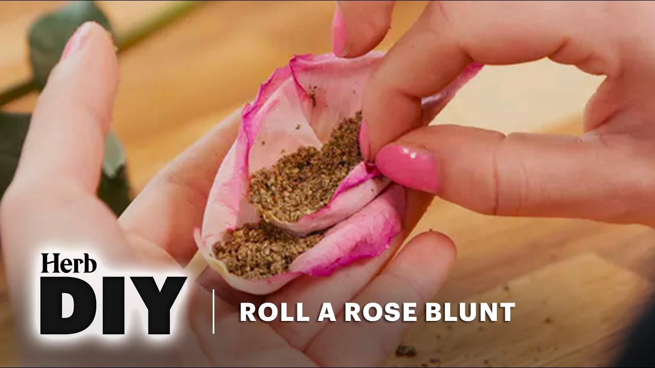 How To Roll A Rose Blunt DIY YouTube