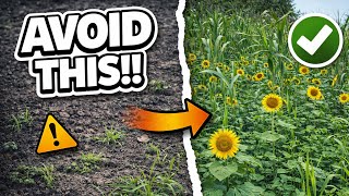 Reason Food Plots Fail....fix This And Have Great Food Plots Every Year