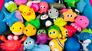 Learn Sea Animal Names | Sea Animals for Kids | Sea Creatures for Kids | Sea Animal Toys