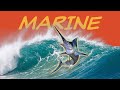 Exploring the Marine Biome