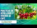 #Podcast: Prácticas de Semilleros y Viveros de Café