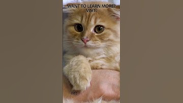 Time block: Identify when you are at your most productive - Do you want to be more productive?