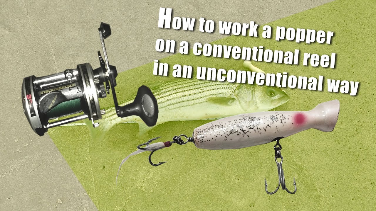 How to work a popper on a conventional reel - Short lived Fall Run Beach  Blitz & 