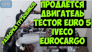 01.04.21 Минск продаётся двигатель Tector F4AE3681A ( Евро 5) IVECO EUROCARGO Разборка грузовиков