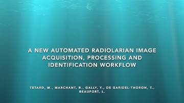 A new automated radiolarian image acquisition, processing, segmentation, and identification workflow