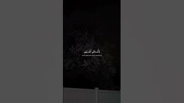 تلاوة تهز الوجدان وتبعث الطمأنينة 🤍