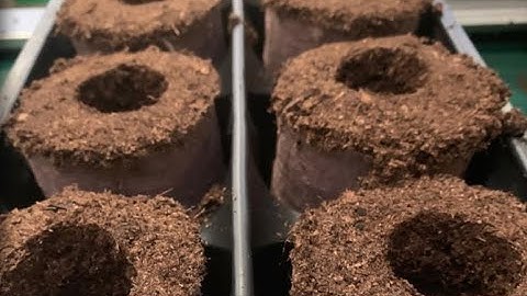 Ellepot - Fully automatic Ellepot Machine for Big size Ellepots