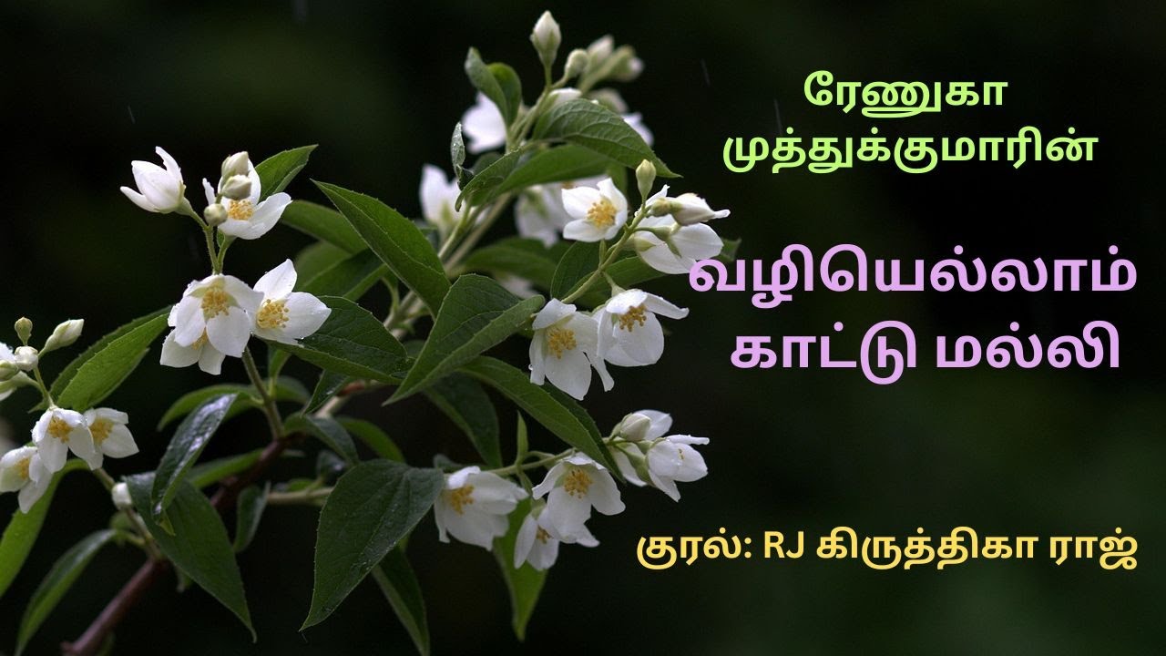 வழியெல்லாம் காட்டு மல்லி| Renuga Muthukumar| RJ krithigha Raj| Tamil Audio novels| Tamil Love Story