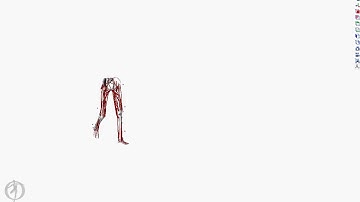 The importance of filtering noisy markers - OpenSim