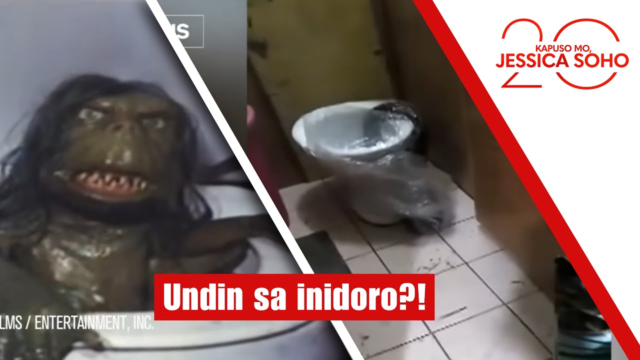 Undin sa inidoro?! | Kapuso Mo, Jessica Soho