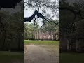 #sheldon #ruins #hiddengems #mustsee #fyp #fulltimerv #shorts #fulltimetravel #travelusa #ysa #fun