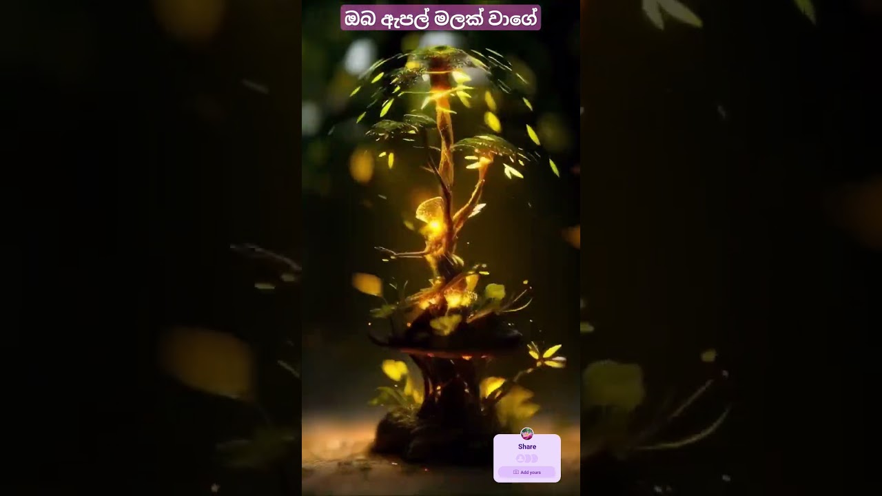 ඔබ ඇපල් මලක් වාගේ ❤️ Oba apple malak wage #sinhala #shorts #status