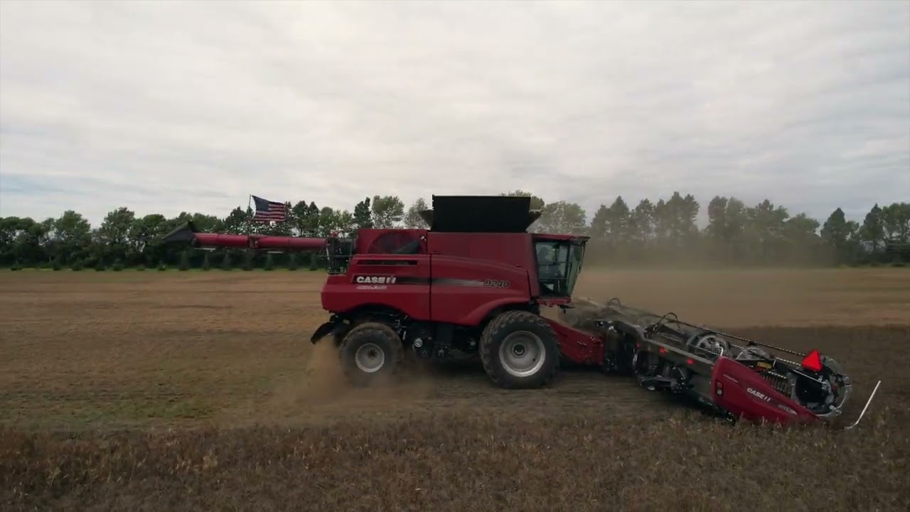 T&M Farm Pea Harvest 2025