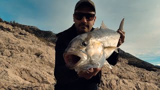 Shore Jigging - Amberjack