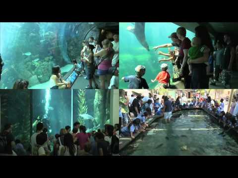 Aquarium of the Pacific