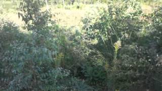 CIMG6073
