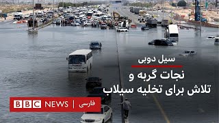 سیل دوبی؛ نجات گربه و ادامه اختلال در فرودگاه