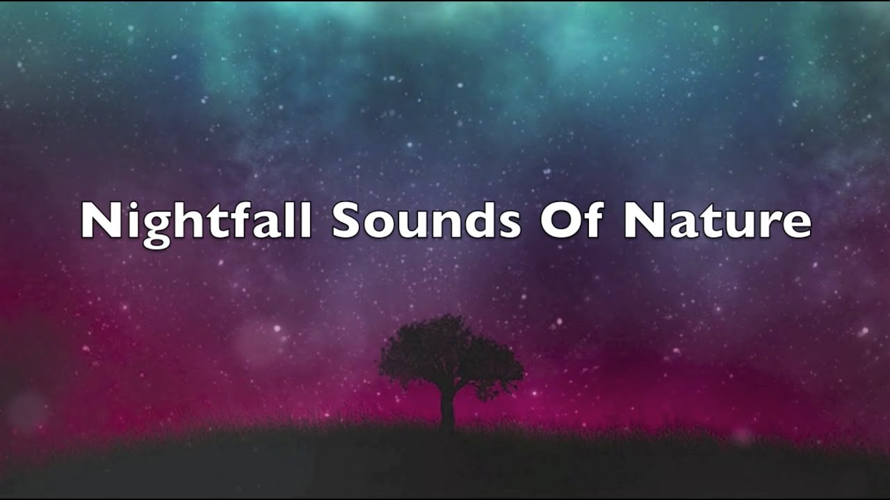 Nightfall Sounds Of Nature 2 Hours [Relaxation]