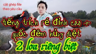 Download Lagu Tiếng trích ré đỉnh cao + quốc đêm hủy diệt ( 2 loa riêng biệt) file kinh tế MP3 Download Lagu Tiếng trích ré đỉnh cao + quốc đêm hủy diệt ( 2 loa riêng biệt) file kinh tế MP3