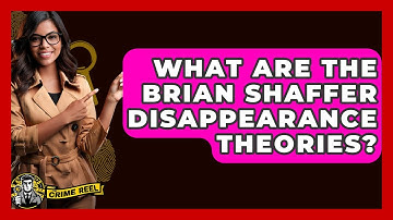 What Are The Brian Shaffer Disappearance Theories? - The Crime Reel