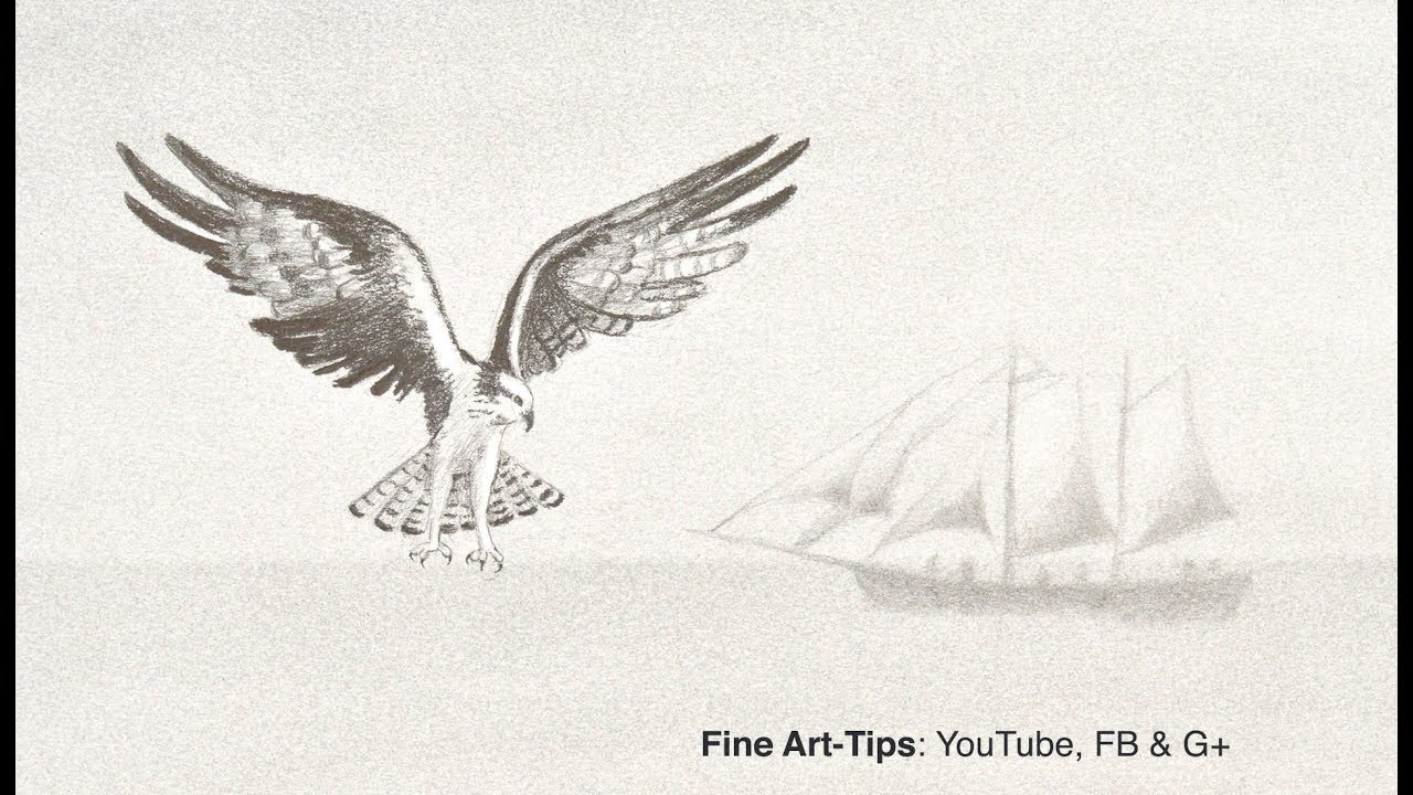 ⁣How to Draw the Effect of Distance - Depth of Field - (An Eagle and a Sailing Ship)