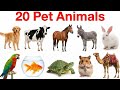 20 पालतू जानवरों के नाम | Pet Animal Names English in Hindi Explanation | Pets Animals Name for kids