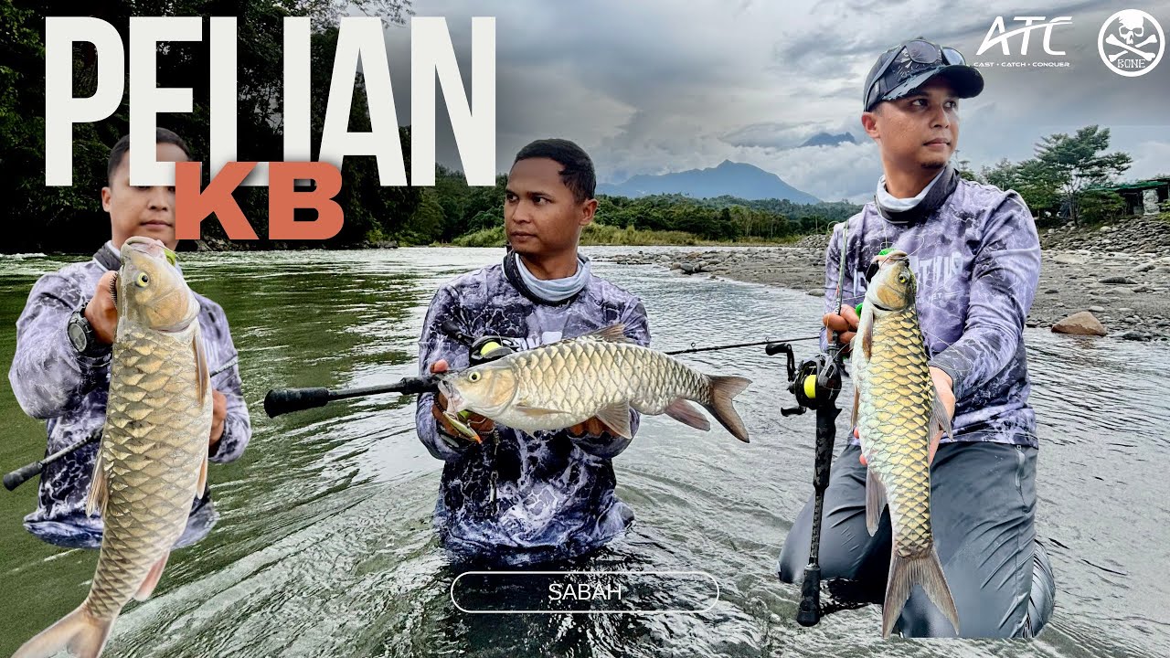 Pesta Strike Casting Ikan Pelian / Kelah Sabah. Bone Voyage BFS ft ATC Combat CF BFS
