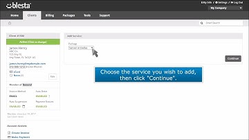 17) How to create a service in Blesta by Gecko Websites