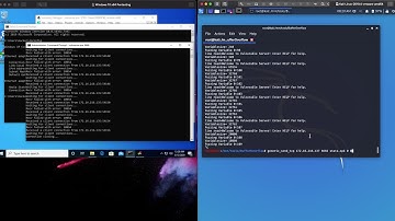 Step0b Simple Buffer Overflow - Spiking