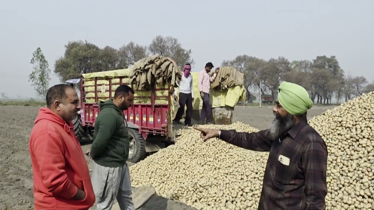 ਜੇੜੇ ਆਲੂਆਂ ਵਾਲੇ ਵੀਰ ਦਿਲ ਛੱਡੀ ਬੈਠੇ ਆ ਓ ਇਹ ਵੀਡਿਓ ਜਰੂਰ ਸੁਣੋ 