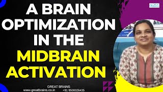 A Brain optimization of the Midbrain activation