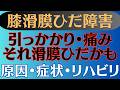 【引っかかり•痛み•ロッキング】膝滑膜ひだ障害 症状とリハビリ方法