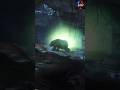 Lara’s Dangerous Escape | Rise of the Tomb Raider!Lara #tombraiderlegend #shortsfeed #sonugamer