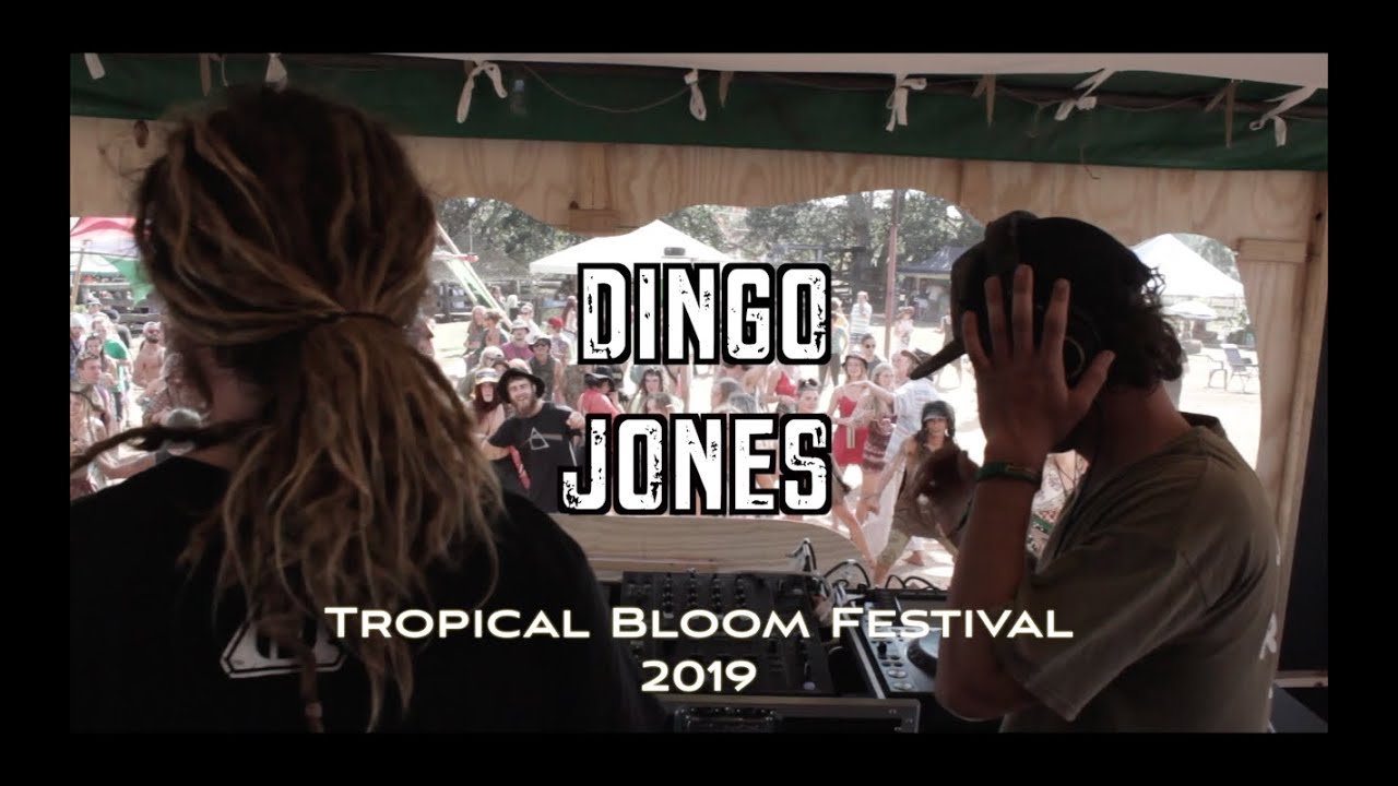 Weapon Records Presents DINGO JONES TROPICAL BLOOM FESTIVAL 2019