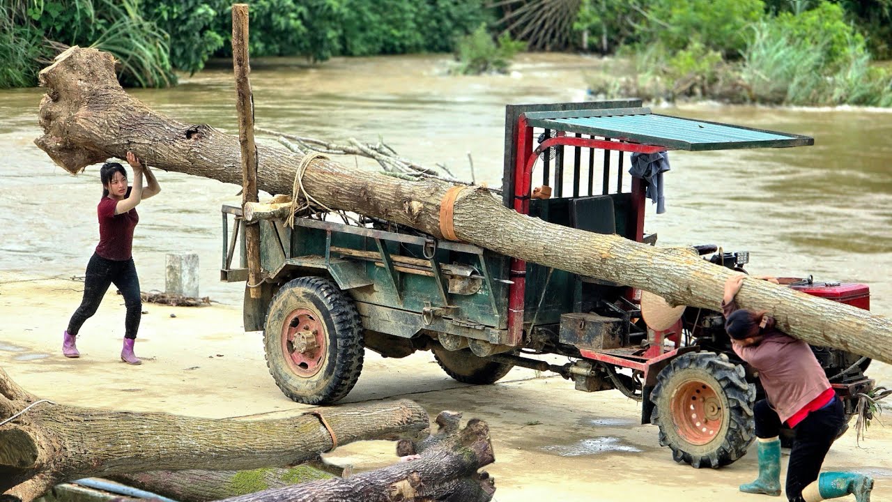 Agricultural vehicle, 2 girls exploit and transport wood during the ...