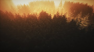 SUNSET 4K Cinematic Unreal Engine 5.2