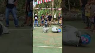 Persaingan Sengit dj djremix short shorts lomba17an