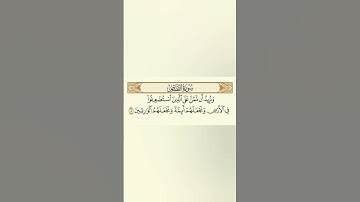 سورة القصص .. عبد الرحمن مسعد أجر لي ولكم 🤍🤲🏻