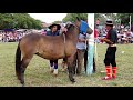Jineteadas de caballos Campero Tv Canal Rural