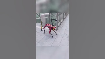 The Robot Security System Is Malfunctioning... 🤖⚠️ #RobotFail