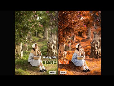 Hướng Dẫn Blend Màu Nắng Mùa Thu Trong Photoshop | Tự Học Photoshop