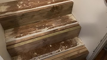 Stair tread extension