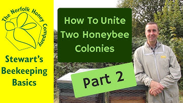 How to Unite Two Honeybee Colonies Part Two #Beekeeping Basics - The Norfolk Honey Co.