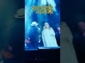 AL BANO con ROMINA POWER - CHE ANGELO SEI (AMORE MIO) LIVE 2019