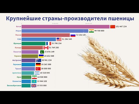 Крупнейшие страны-производители пшеницы (1960-2018)