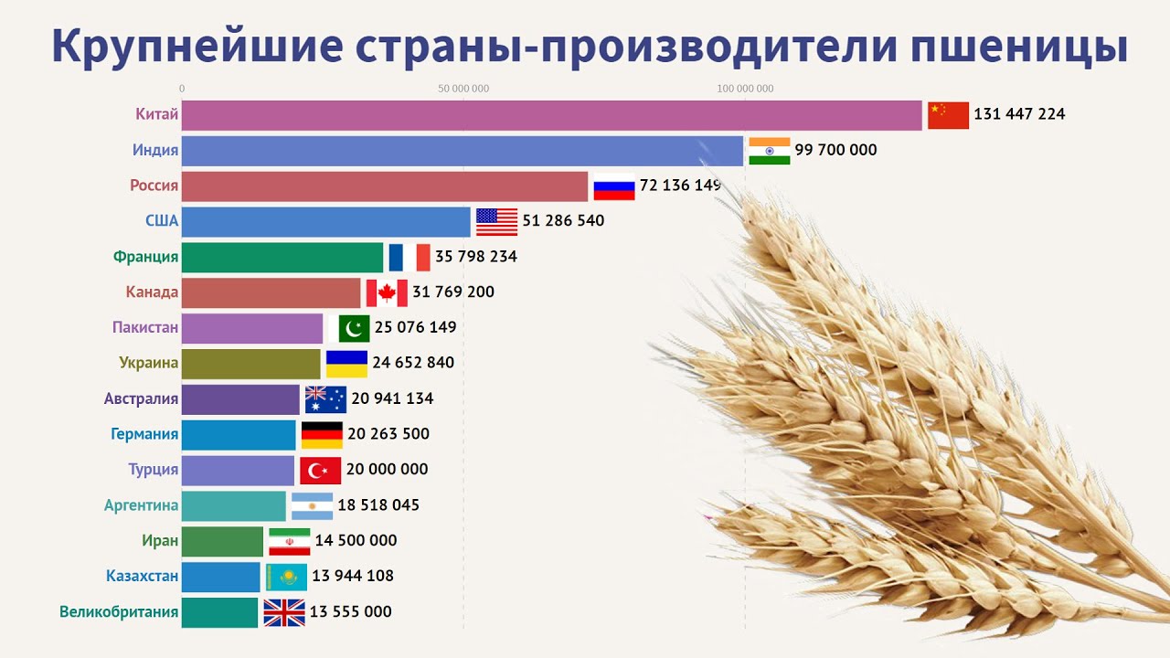 Страны лидеры по выращиванию риса